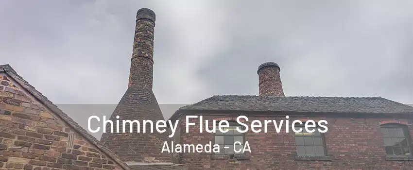 Chimney Flue Services Alameda - CA