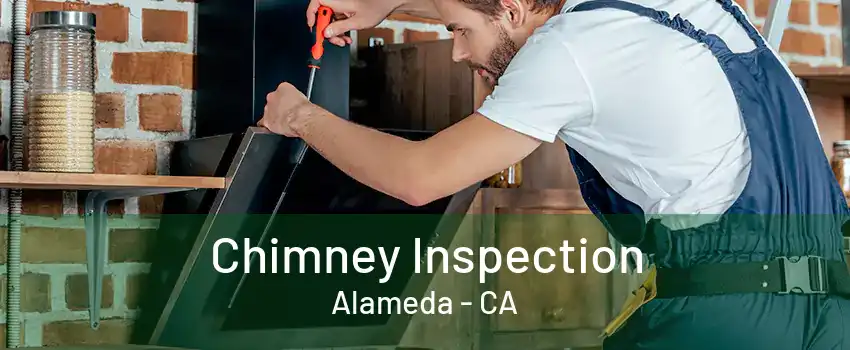 Chimney Inspection Alameda - CA