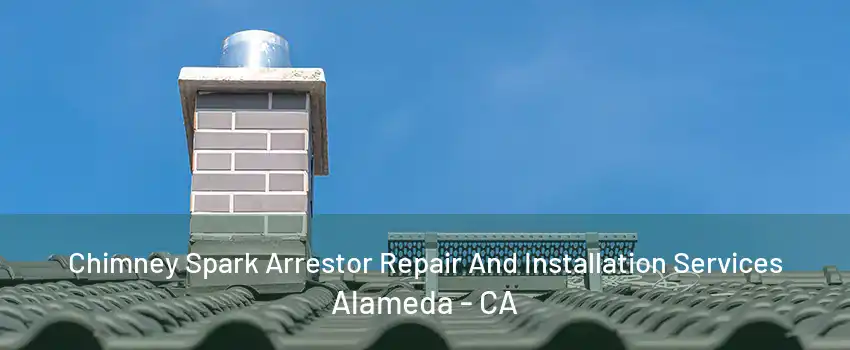 Chimney Spark Arrestor Repair And Installation Services Alameda - CA