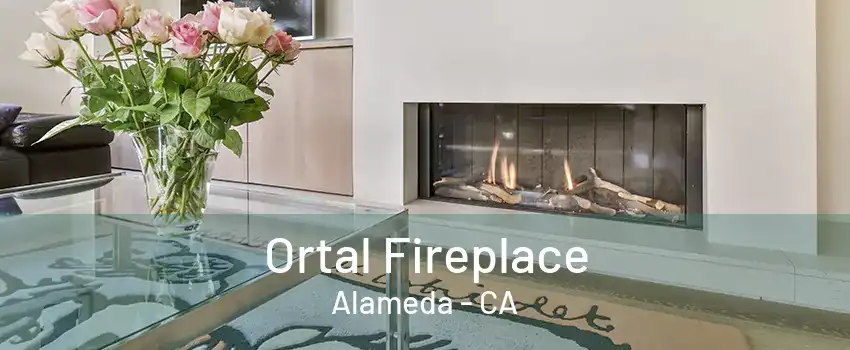 Ortal Fireplace Alameda - CA